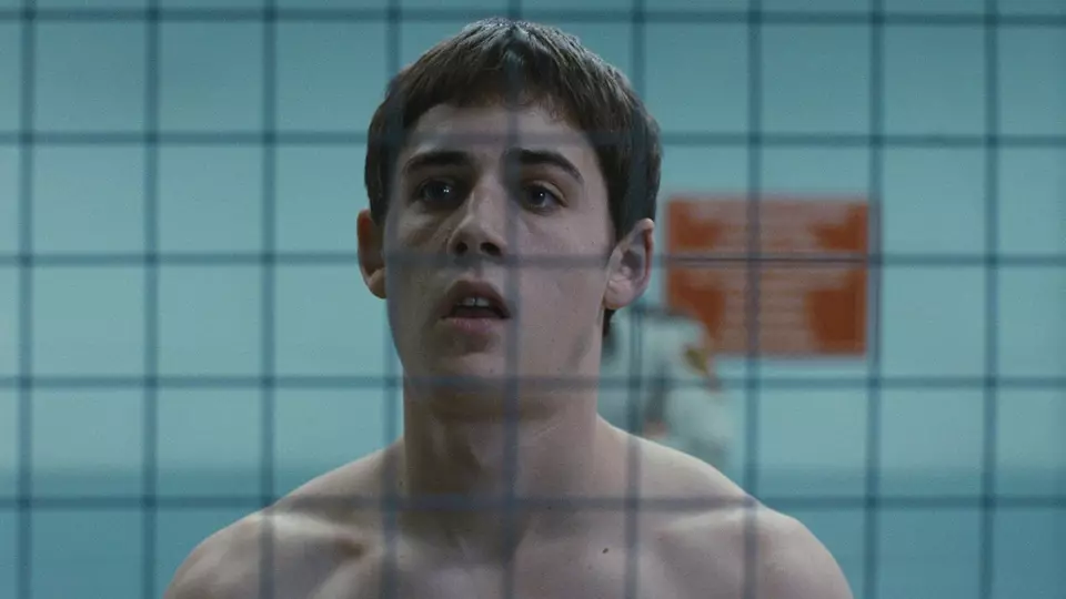 Загон для собак