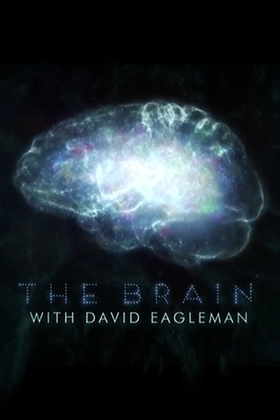 Мозг с Дэвидом Иглменом