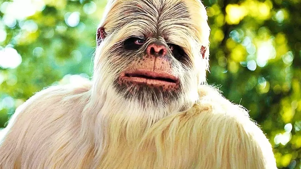 сНежный человек