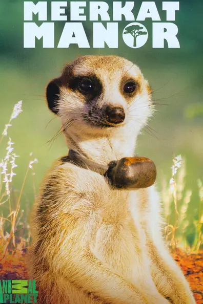 Поместье сурикат