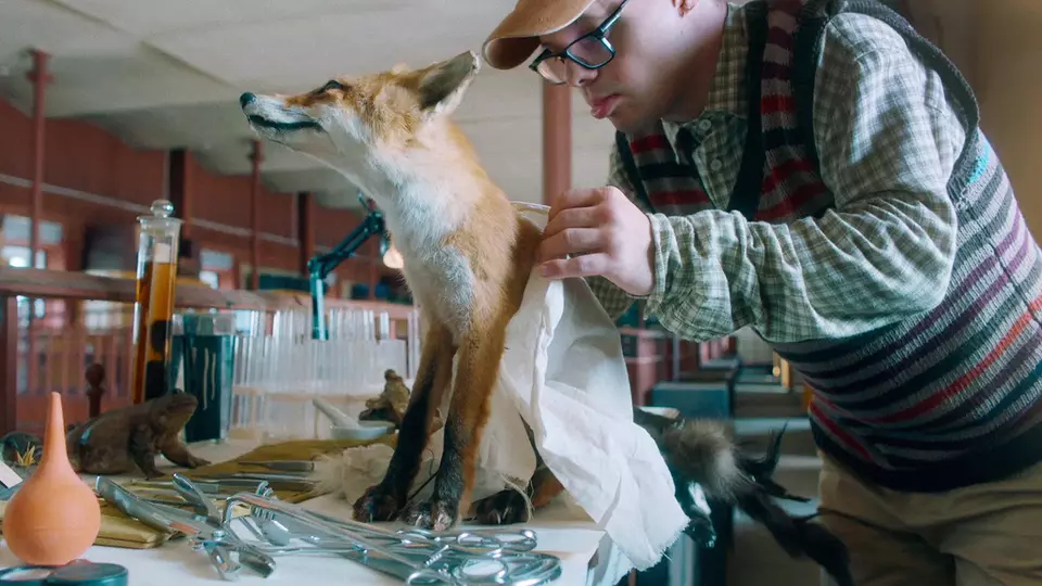 Правила Филиппа