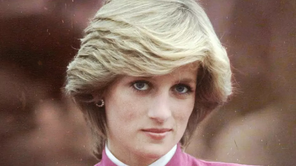 The Diana Investigations